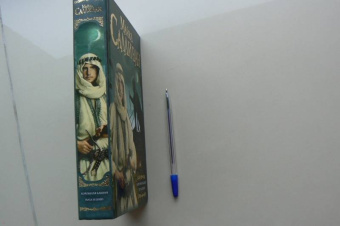 Майкл Салливан: Коронная башня. Роза и шип