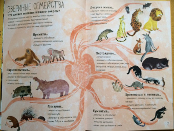 Зоммер, Тейлор: Большая книга зверей