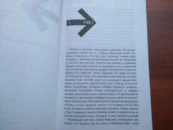 Дэвид Уоллес: Метла системы
