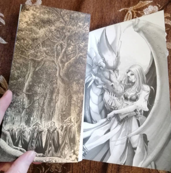 Ричард Кнаак: Warcraft. Трилогия Солнечного колодца. Охота на дракона