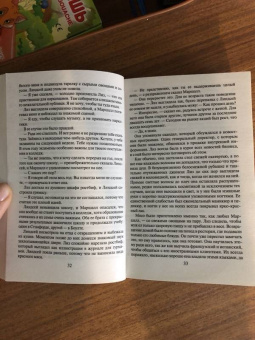 Даниэла Стил: Игра в большинстве