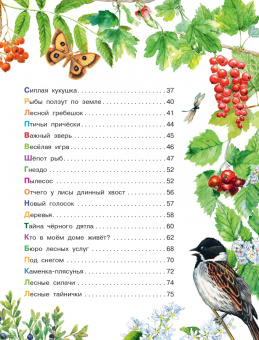 Николай Сладков: Лесные сказки