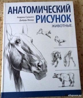 Суньоги, Фехер: Анатомический рисунок. Животные