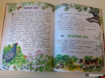 Николай Сладков: Лесные сказки