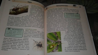 Людмила Соколова: Хочу знать. Пауки