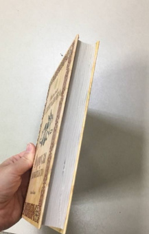 Наталья Степанова: Формула долгожительства