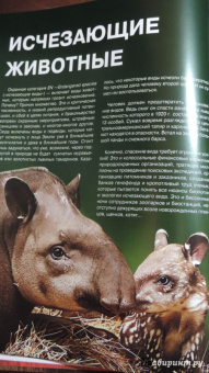 Скалдина, Слиж: Красная книга. Животные мира
