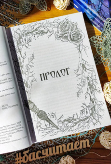 Александра Черчень: Король Неблагого Двора. Хрусталь и веретено
