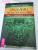 Элина Болтенко: Учебник по экстрасенсорике. Советы от практикующей ведуньи