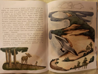 Ольга Велейко: Калининград. Там, где танцует лес