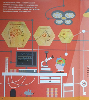 Толченникова, Нечипоренко: Ключи от головы. Что ученые знают про мозг