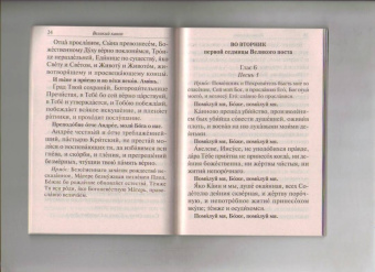 Великий покаянный канон преподобного Андрея Критского