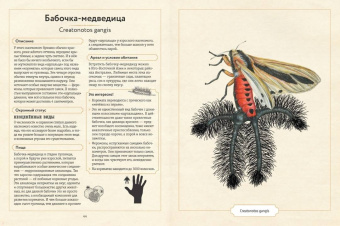 Сэми Бэйли: Энциклопедия удивительных животных