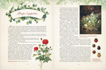 Николай Золотницкий: Дары русского леса. Грибы, ягоды и целительные растения