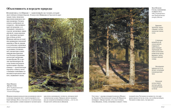 Елена Евстратова: Русские художники. Расшифрованные шедевры