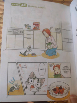 Конами Каната: Милый дом Чи. Книга 2