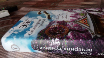 Тван Тан: Сад вечерних туманов