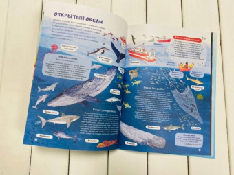 Амандин Тома: Через океаны