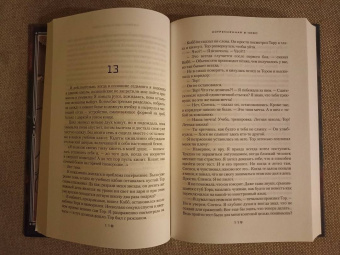 Брендон Сандерсон: Устремленная в небо