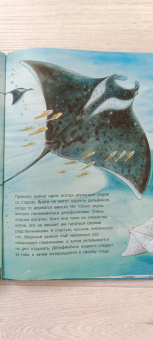Фридерун Райхенштеттер: Дельфинчик и его морские соседи. Познавательные истории