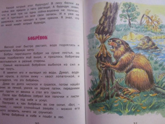 Геннадий Снегирев: Верблюжья варежка