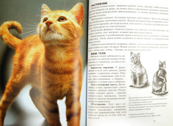 Биргит Голлманн: Кошки. Содержание и уход