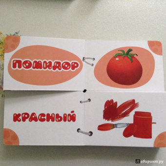 Найди половинки. Цвета и краски