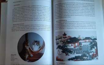 Ван, Сюй: Ткани и вышивка