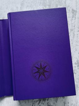 Люсинда Райли: Семь сестер. Потерянная сестра