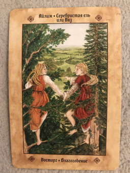 Микки Мюллер: Голоса деревьев. Кельтский оракул (25 карт)