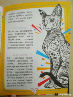 Леди Гэ: #КОТИКИ. Главная книга в текстах, иллюстрациях