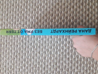 Дана Рейнхардт: Без ума от тебя