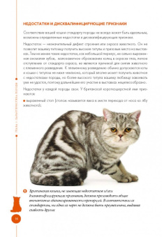 Анастасия Красичкова: Британские кошки. Гид по породе
