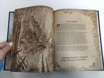 Шон Коупленд: World of WarCraft. Энциклопедия Азерота. Калимдор