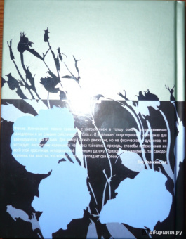 Александр Иличевский: Дом в Мещере