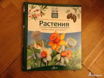 Татьяна Елумеева: Растения