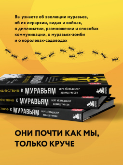 Уилсон, Хёлльдоблер: Путешествие к муравьям