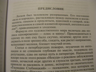Майя Кучерская: Лесков. Прозёванный гений