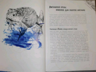 Джанумберто Аччинелли: Эффект домино. Невидимые нити природы