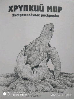 Имоджен Каррел-Уильямс: Хрупкий мир. Экстремальные раскраски