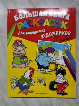 Большая книга раскрасок для маленьких художников