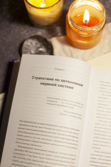 Деб Дана: Тело на твоей стороне. Как сделать нервную систему своим союзником в достижении спокойствия