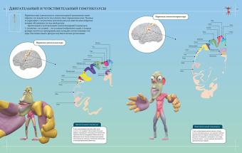 Джейми Роубак: Анатомия человека 360°. Иллюстрированный атлас