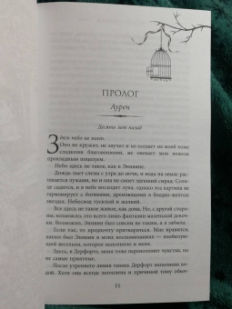 Рейвен Кеннеди: Искра