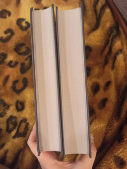 Михаил Шолохов: Тихий Дон (комплект из 2-х книг)