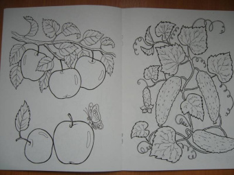 Что растет в саду