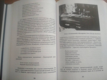 Денис Ахапкин: Иосиф Бродский и Анна Ахматова. В глухонемой вселенной