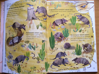 Зоммер, Тейлор: Большая книга зверей