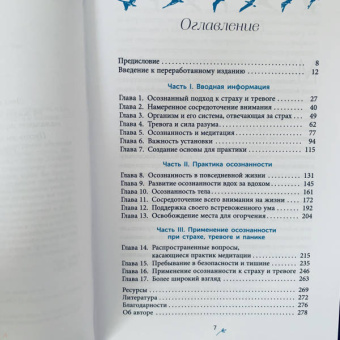 Джеффри Брэнтли: Успокойте свой встревоженный ум. Как осознанность и сострадание могут избавить вас от тревоги