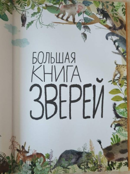 Зоммер, Тейлор: Большая книга зверей